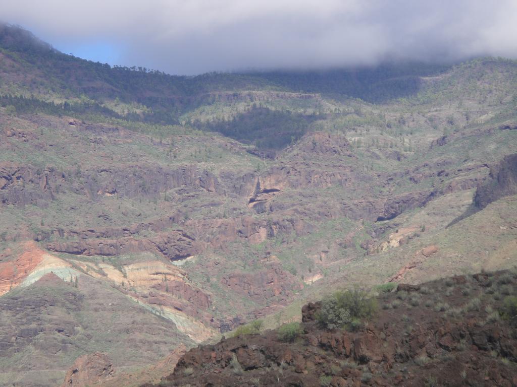 Casa El Pino Villa โมกัน ภายนอก รูปภาพ